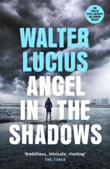 Angel in the Shadows Read online