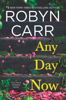 Any Day Now--A Novel Read online