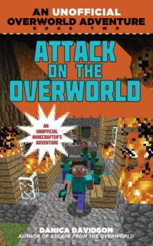 Attack on the Overworld Read online
