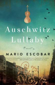 Auschwitz Lullaby Read online