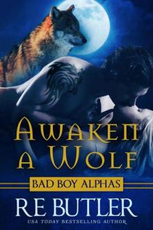 Awaken a Wolf (Wiccan-Were-Bear Book 9) Read online