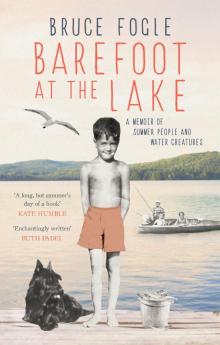 Barefoot at the Lake Read online