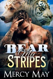 Bear My Stripes: M/M Mpreg Shifter Romance (Furbidden Mates Book 2)