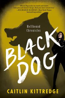 Black Dog Read online
