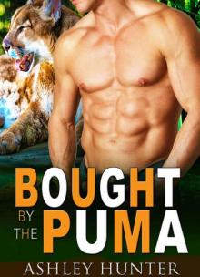Bought by the Puma (Studly Shifters Book 1) Read online