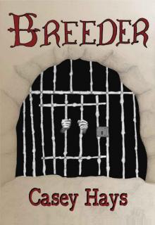 Breeder: An Arrow's Flight Novel Read online
