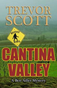 Cantina Valley (A Ben Adler Mystery Book 1) Read online