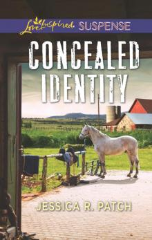 Concealed Identity Read online