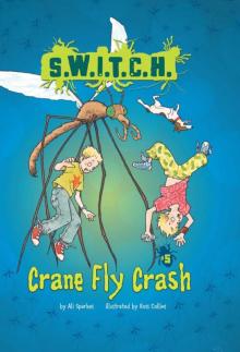 Crane Fly Crash
