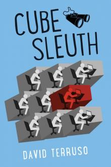 Cube Sleuth Read online