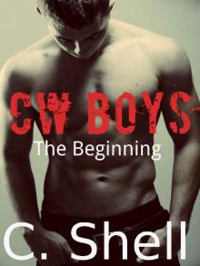 CW Boys: The Beginning (CW Boys #1) Read online