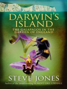 Darwin's Island Read online