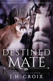 Destined Mate (Catamount Lion Shifters #4) Read online