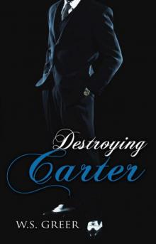 Destroying Carter Read online