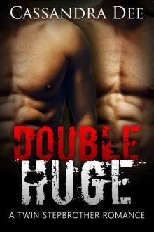 DOUBLE HUGE: A Twin Stepbrother Romance (With BONUS book A Baby for My Billionaire Stepbrother) Read online