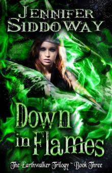 Down in Flames (The Earthwalker Trilogy Book 3) Read online