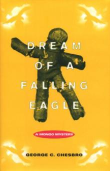 Dream of a Falling Eagle m-14 Read online