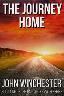 EMP Aftermath Series (Book 1): The Journey Home Read online