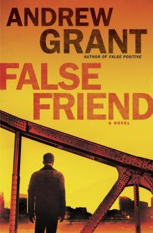 False Friend Read online