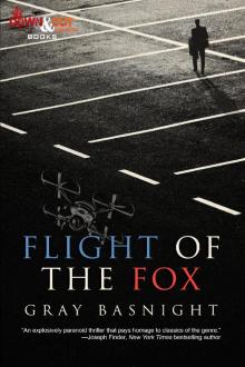 Flight of the Fox Read online