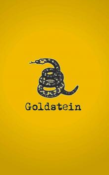 Goldstein Read online