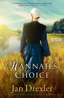 Hannah's Choice Read online