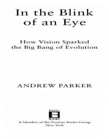 In The Blink Of An Eye Read online
