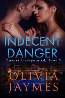 Indecent Danger (Danger Incorporated Book 3)