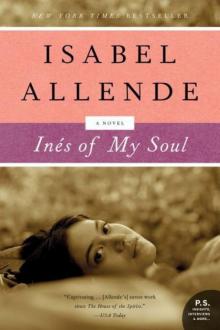 Ines of My Soul: A Novel Read online