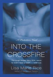 Into the Crossfire Read online