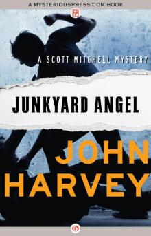 Junkyard Angel Read online