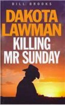 Killing Mr. Sunday Read online