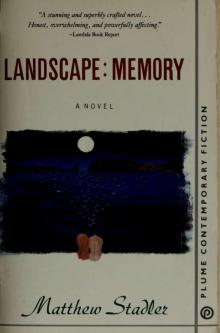 Landscape: Memory