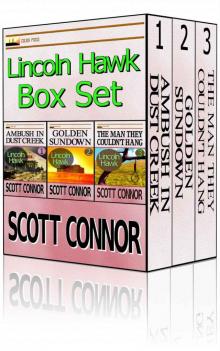 Lincoln Hawk Series 1-3 Omnibus Read online