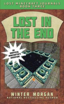 Lost in the End Read online
