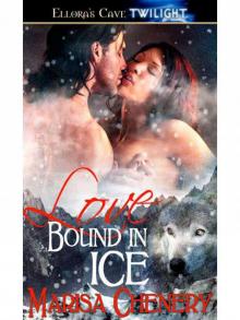Love Bound in Ice: 3 (Werewolf Sentinels) Read online