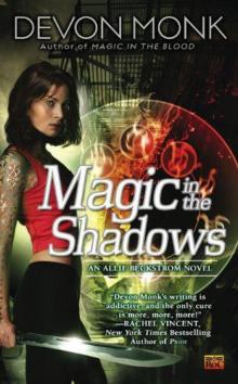 Magic in the Shadows ab-3 Read online