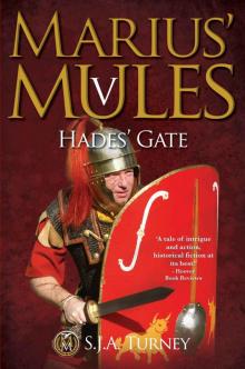 Marius' Mules V: Hades' Gate Read online