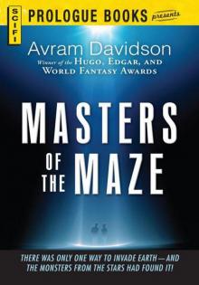 Masters of the Maze Read online