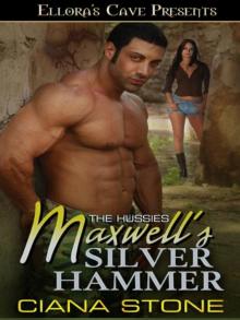 Maxwell’s Silver Hammer Read online