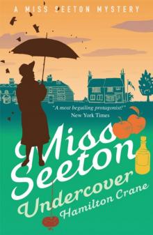 Miss Seeton Undercover (A Miss Seeton Mystery Book 17) Read online