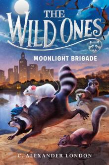 Moonlight Brigade Read online
