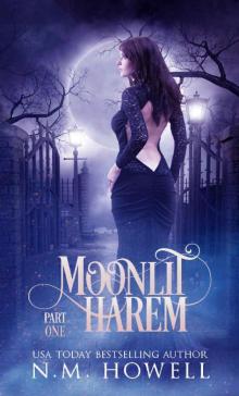 Moonlit Harem: Part 1 Read online