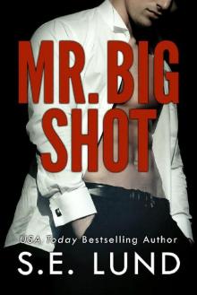 Mr. Big Shot Read online