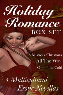 Multicultural Holiday Romance Box Set Read online