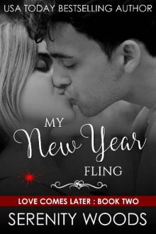 My New Year Fling: A Sexy Christmas Billionaire Romance (Love Comes Later Book 2) Read online