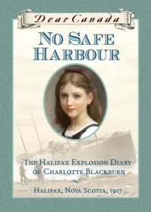 No Safe Harbour Read online