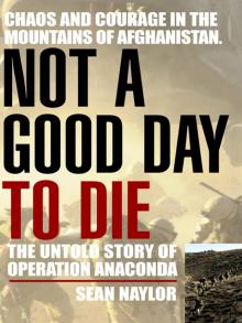 Not a Good Day to Die Read online