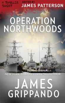 Operation Northwoods Read online