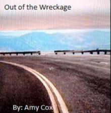 Out of the Wreckage Read online